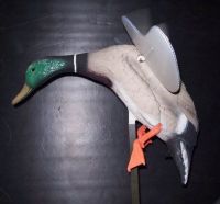 mallard duck hunting Mojo Motorized Flying Duck Decoys Remote Controled Motion Ducks