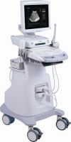 Digital Ultrasound Scanner