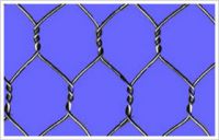 Hexagonal Wire mesh