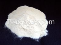 chitosan powder