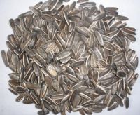 Sunflower seeds