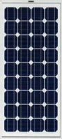 solar module-75w