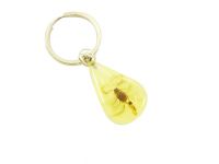 insect amber keychain