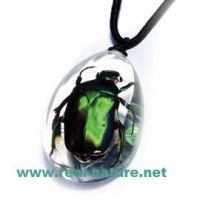 insect amber necklace