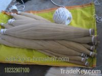 pure white horse tail hair for violin bow