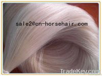 horse hair sporran