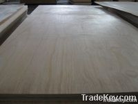 radiata pine face plywood