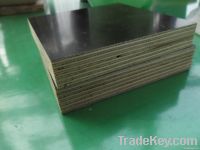 18mm Film Faced Plywood