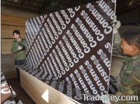 Brown Film Faced Plywood With Cheap Price