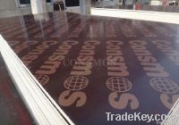 Marine Plywood