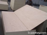 Commercial Plywood