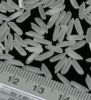 Thai Jasmine Rice Or Hom Mali Rice