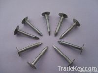 Roofing Nails