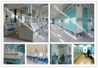 Corn Flour Mill, Wheat Flour Grinder