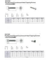 Self Tapping Screw