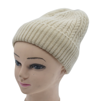 2025 Basic Ladies Winter Hats Beanies Warm Unisex BSCI RWS