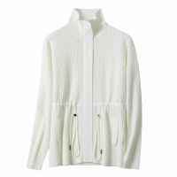 2026 Lady's Woollen Sweater Wool blended lurex yarn