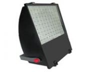 LED Flood Light