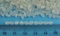 Short rice Jasmine 5% broken usd465/mt