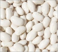 White kidney bean