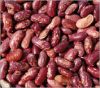 purple speckled kidney bean