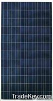 156 series polycrystalline solar module