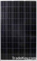 156 series polycrystalline solar module