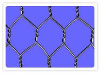 Heavy Hexagonal Mesh