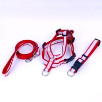 collar, leash, harness