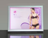 Crystal led light box