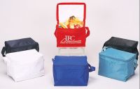 cooler bag