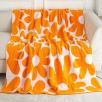 Hot Sale Wool Nap Cover Blanket