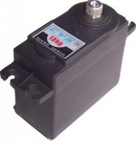 13KG  Modelservo