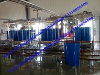 Full Automatic Apple and Pear Juice Processing Line on Sale