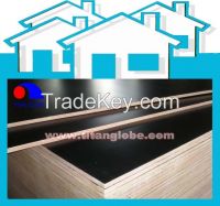 Film Faced Plywood
