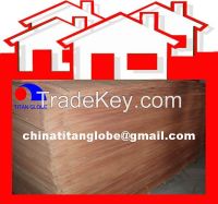 MLH Veneer