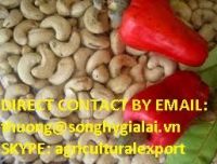 CASHEW NUT CHEAP PRICE VIETNAM ORIGIN