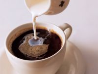 Non-dairy creamer for Coffee