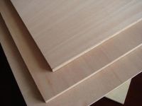 Commercial Plywood