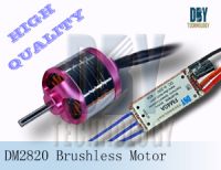 Brushless Motor