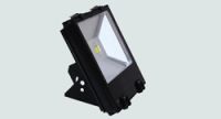 Flood light