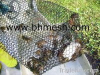 lobster trap, lobster trap netting, lobster mesh