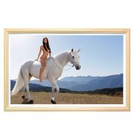 43-inch Wooden frame digital signage