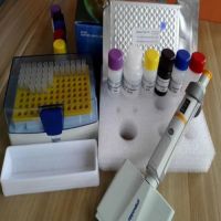 5-Nucleotidase Elisa Kits