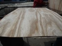 Paulownia Wood Veneer