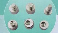 Stainless Eccentric Screws