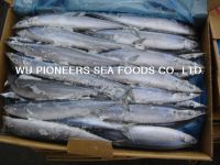 Sell Pacific Saury