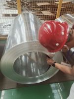 Galvanized iron sheet in coil SGCC