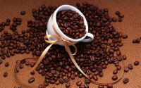 Export Robusta Coffee Beans | Robusta Coffee Bean Importer | Robusta Coffee Beans Buyer | Buy Robusta Coffee Beans | Robusta Coffee Bean Wholesaler | Robusta Coffee Bean Manufacturer | Best Robusta Coffee Bean Exporter | Low Price Robusta Coffee Beans | B