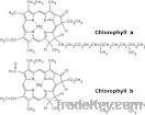 Chlorophyll